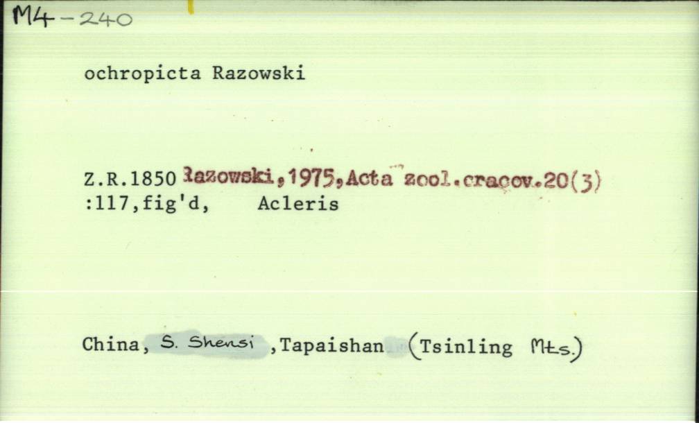 front of card
